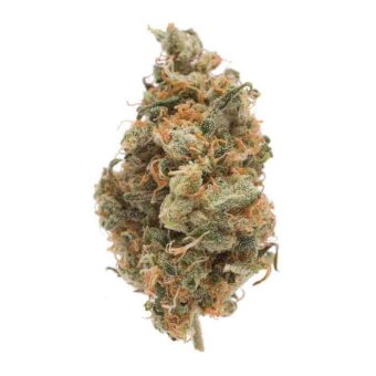 Thc Bomb
